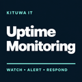 Kituwa IT Uptime Monitoring — Watch, Alert, Respond